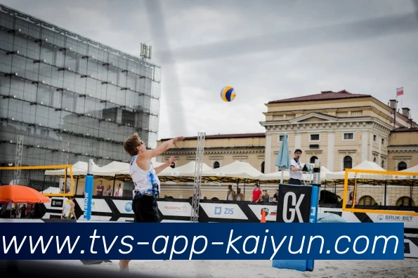 开云官网平台生态图