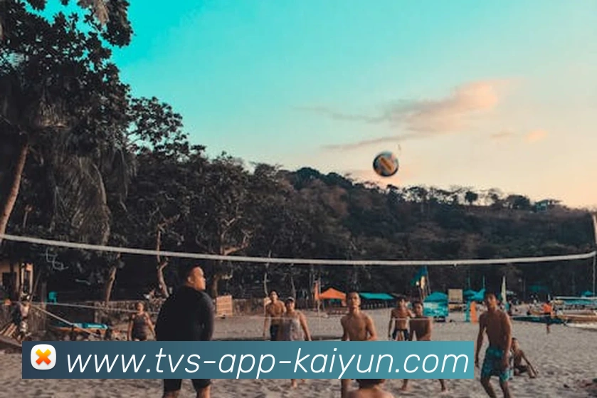 开云官网全站App